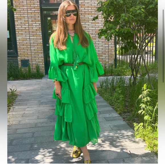 IRIS APFEL fashion legend xH&M Flounce Dress - Picture 3 of 8